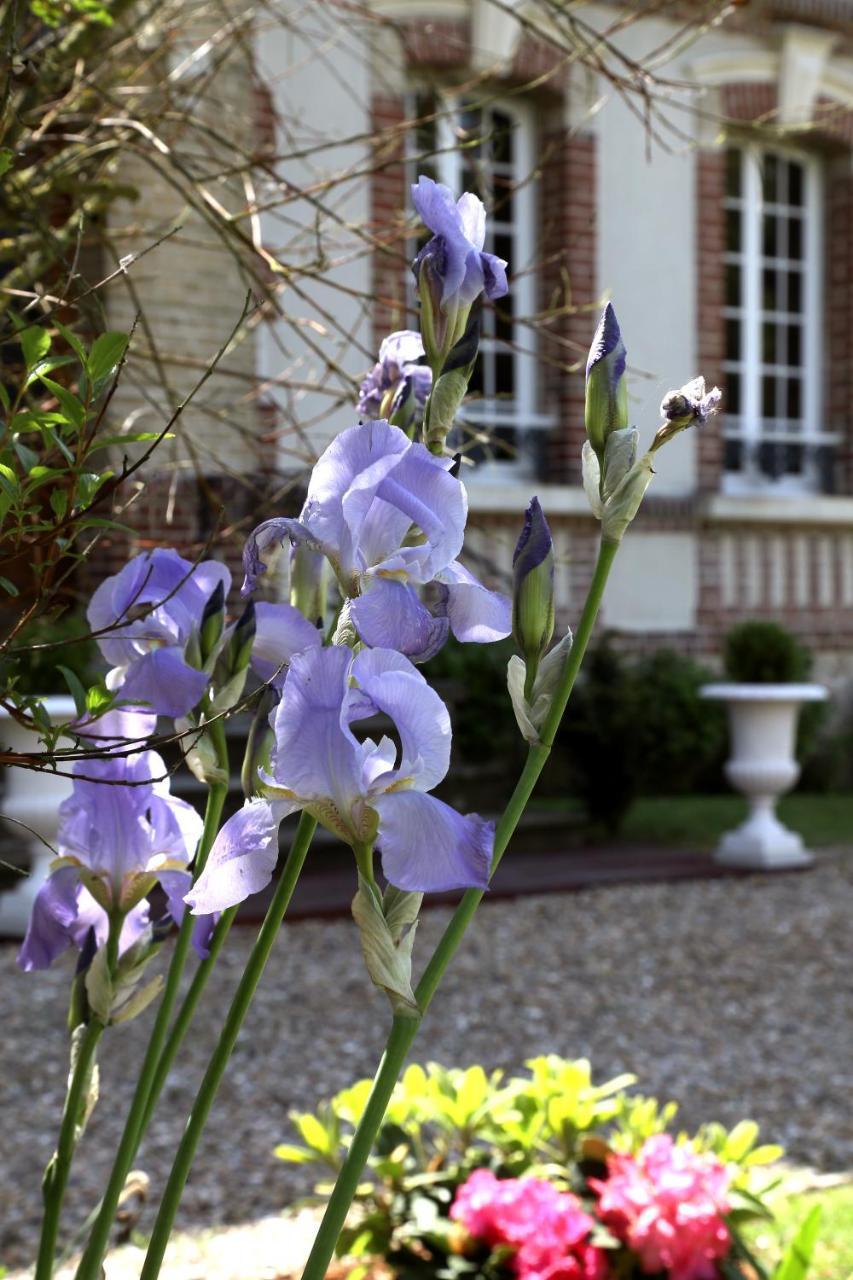 Saint-Martin-aux-Chartrains Manoir Le Mesnil B&B 외부 사진